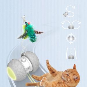 Pointeur Laser Chat Achat Vente Pas Cher Pointeur Laser Chat Achat Vente Pas Cher