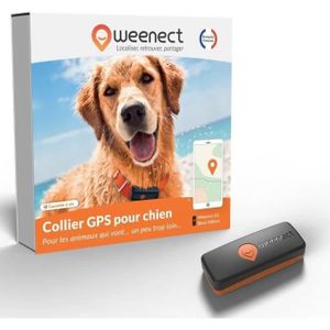 Acheter Traceur GPS pour chiens, étanche IP67, suivi des animaux de  compagnie, collier intelligent, localisation en temps réel, sans frais  mensuels