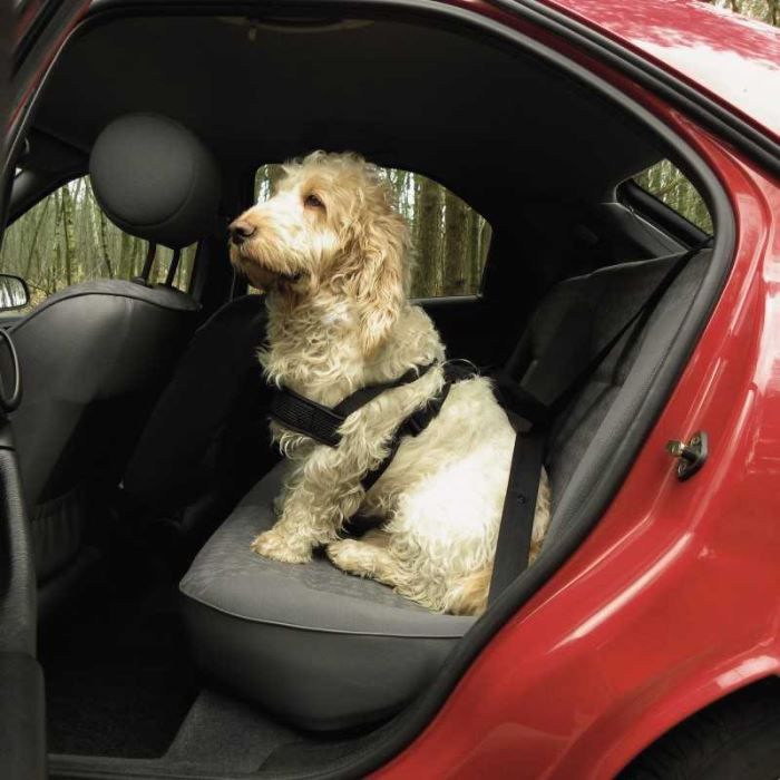 Harnais ceinture de securite pour chien