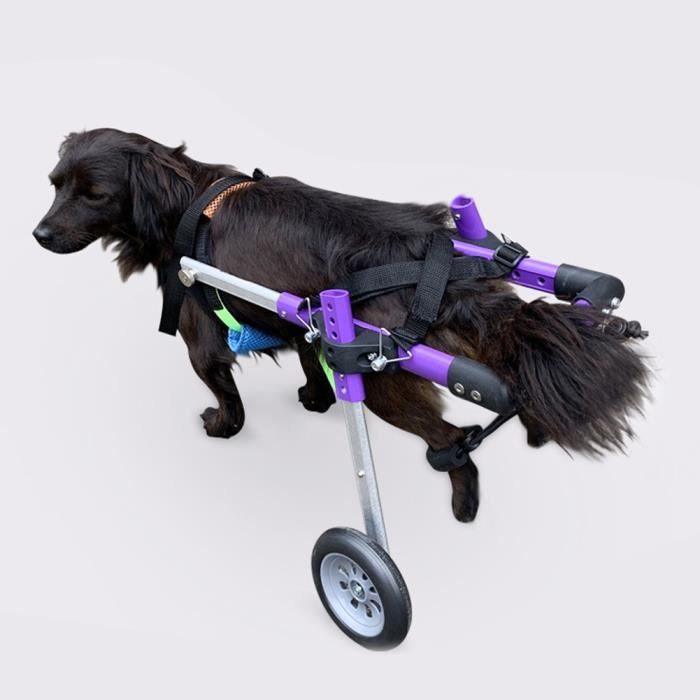 VGEBY Fauteuil roulant pour chiens handicapés Alliage d'aluminium Violet Double Roue pour Animaux de Compagnie Fauteuil Roulant