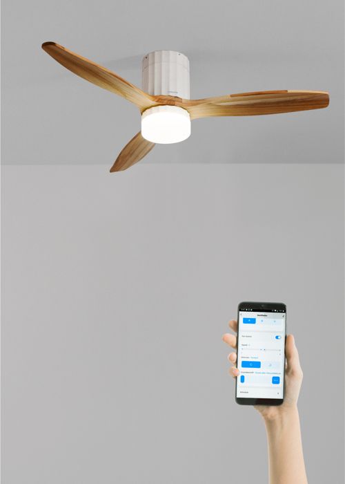 Ventilateur de plafond - Create - Avec lumière - Silencieux - Ø132 cm - Bois - Create
