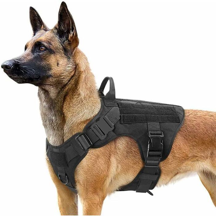 Harnais tactique pour chien - PZCC - Noir - Taille moyenne - Nylon 1050D - Système Molle - Boucles en métal