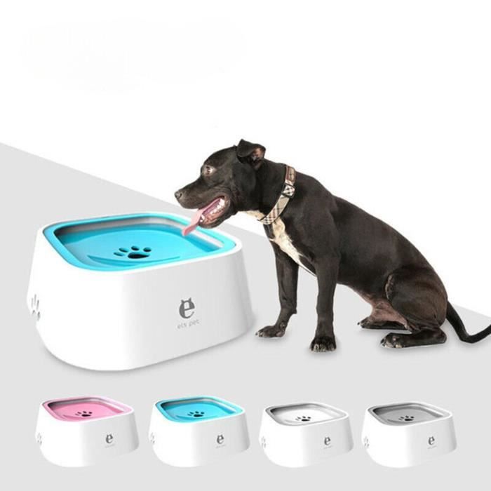 Distributeur dEau Potable pour Chats et Chiens