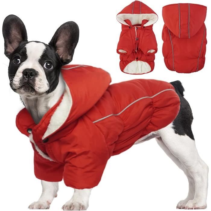 Taille 2025 vetement chien