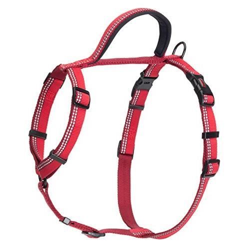 Meilleurs prix pour Halti Premium Walking Harnais avec Bande Réfléchissante/Poignée Souple Doublée de Néoprène pour Chien Rouge Taille XS