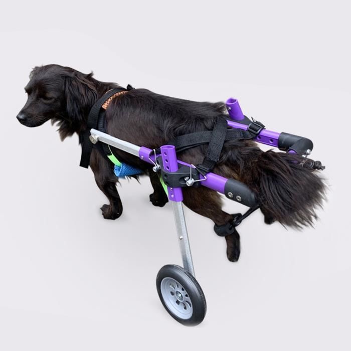 Meilleurs prix pour Fauteuil roulant pour chiens handicapés - VGEBY - Double Roue - Alliage d'aluminium - Violet