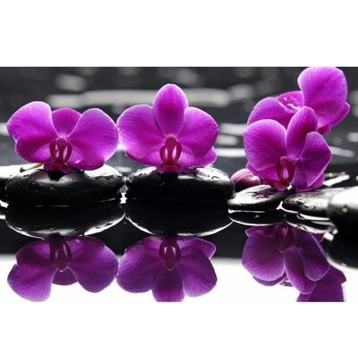 Tableau 5d De Broderie Diamant A Faire Soi Meme Pour Decoration Murale Autre D As Show 3870 Achat Vente Tableau Toile Cdiscount