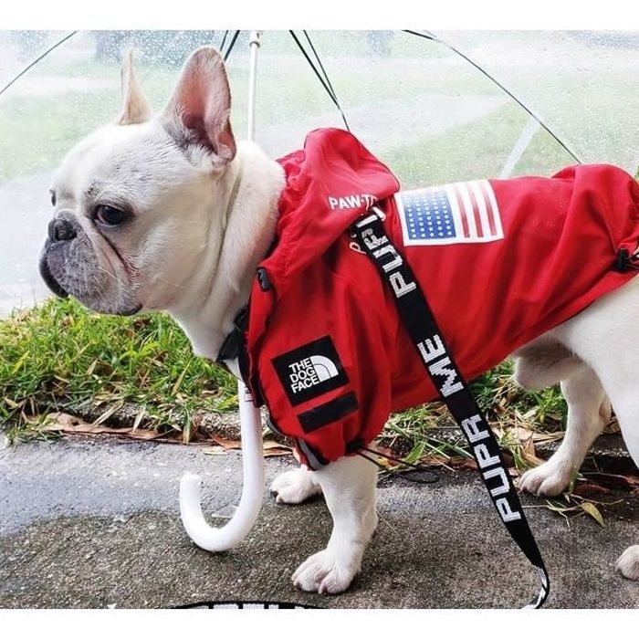 Rouge XXL Manteau impermeable reflechissant pour chien bouledogue francais vetement a capuche respirant pour animaux de compagnie Cdiscount