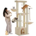 PAWZ Road Grand Arbre a Chat, Arbre à Chat avec Poteaux XXL 11 cm en Sisal, Hamacs Spacieux, Condo & Perchoir, 170 cm Beige