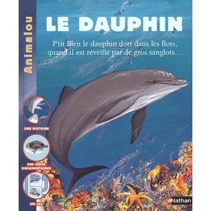 reveil dauphin cdiscount