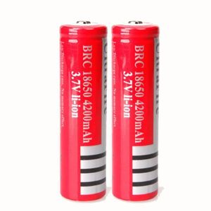 Batterie Rechargeable 18650 9800 Mah Achat Vente Pas Cher