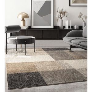 TAPIS Tapis de salon ou de chambre en moderne design | Motif de vagues - Beige 80x140 | Intérieur - The Carpet PEARL