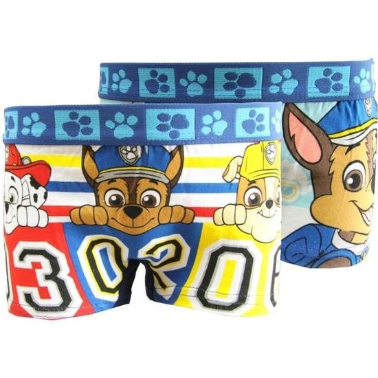 Boxer pat 2025 patrouille 3 ans