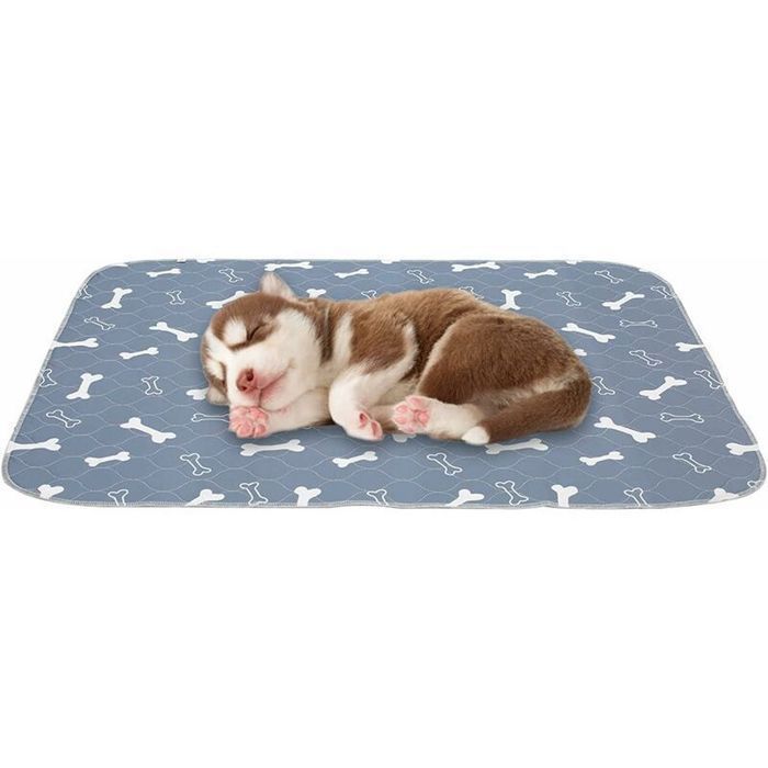 Lot de 2 tapis éducateurs lavables pour chien et chiot tapis propreté absorbant antidérapant