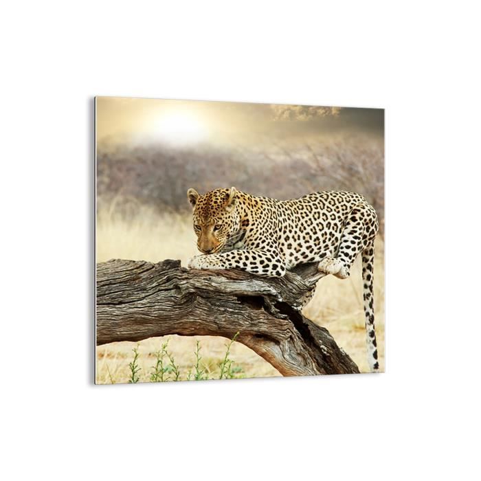 Details about   IMAGE SUR VERRE TABLEAUX Wild Cheetah Animal 30 FORMES FR 2728 