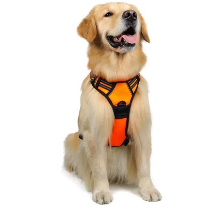 Harnais Anti-Traction Réfléchissant Gros Chien