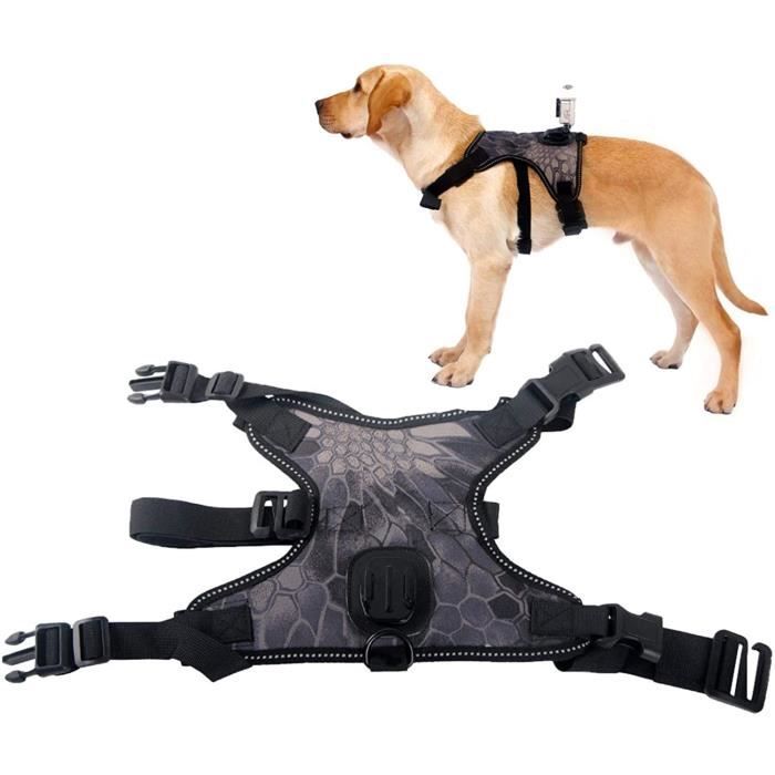 Harnais Pour Chien Pour GoPro Hero 8 7 6 5 Avec Fetch Support Pour Caméra Action Sport Col