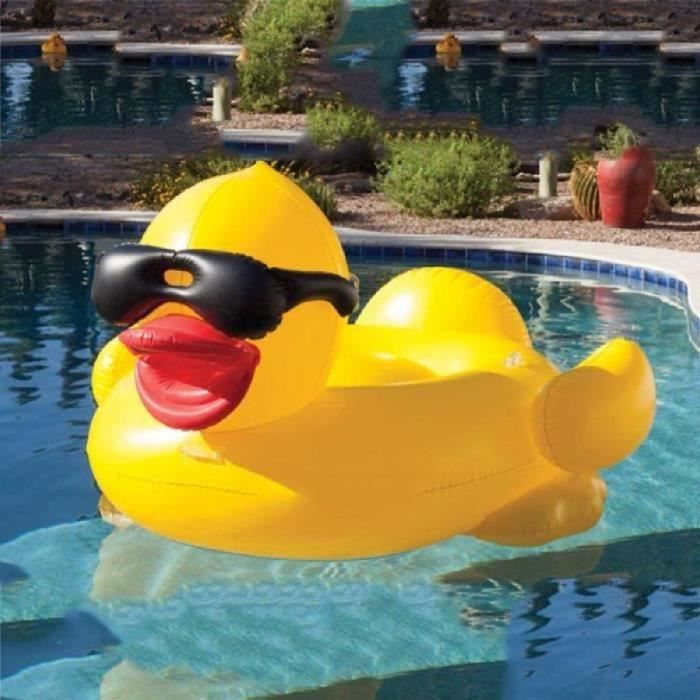 Piscine Canard Achat Vente Pas Cher