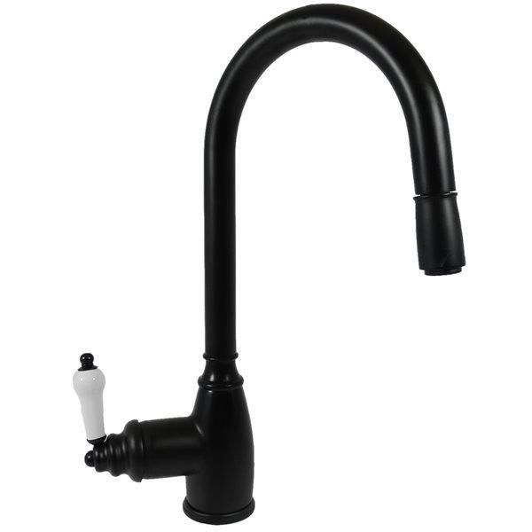Robinet Retro Mitigeur Pour Evier De Cuisine Noir Douchette