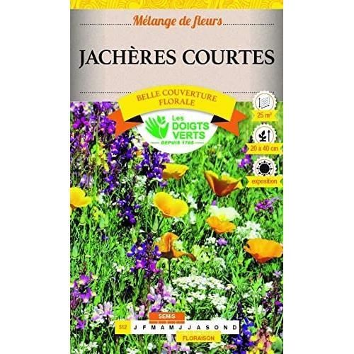JACHERE COURTE[J1] - Cdiscount Jardin
