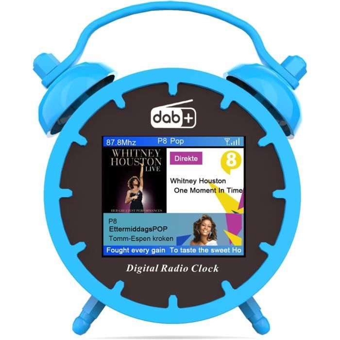 MEDION P66700 Radio Dab+ (Radio-réveil Dab Plus FM, écran Couleur TFT à