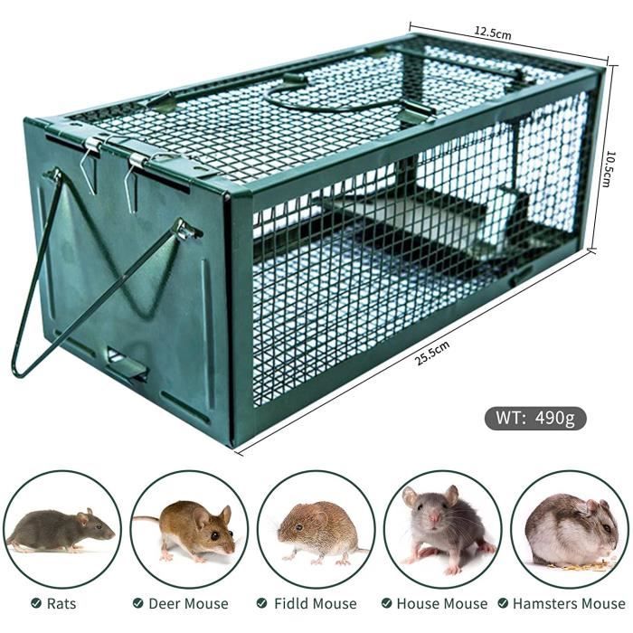 MaxxGarden Piege A Rat - Cage Rat Professionnel - Trappe Capture - Piège à  Souris - Appat Souris avec Une Seule Entrée - Pliable - 100x25x28 cm - Vert