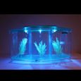 Aquarium,Lumière LED acrylique trois fentes Betta poisson bol Triple arc combat Isolation race boîte pour Aquarium - Type blue-3