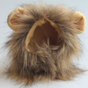 Criniere Lion Chat Cdiscount Criniere Lion Chat Cdiscount
