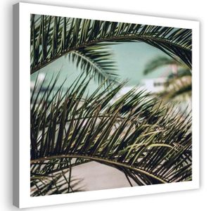 Panneau mural palmier, brise vue palme