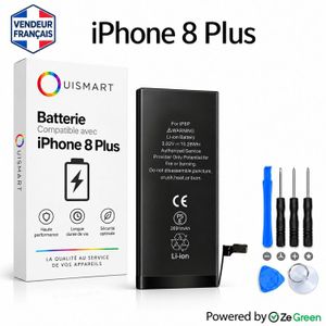 Batterie Interne Neuve Pour IPhone 6 Plus - Compatible A1522 A1524 A1593 - Sans Outils