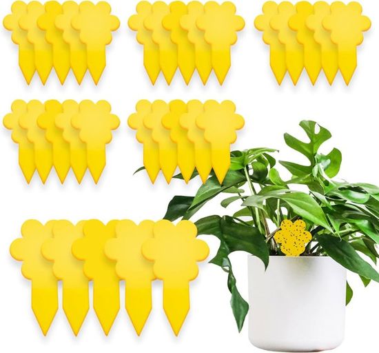 Piège Moucherons Jaune Double Face - Lot De 20 - Imperméable, Forte Adhérence - Pour Plantes D'intérieur, Cuisine - Contre Moucherons Terreau Et Mouches à Fruits