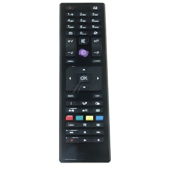 Télécommande remplacée Convient pour Grandin TV LD22CGB18 LD32CGB18 UD40CGB18