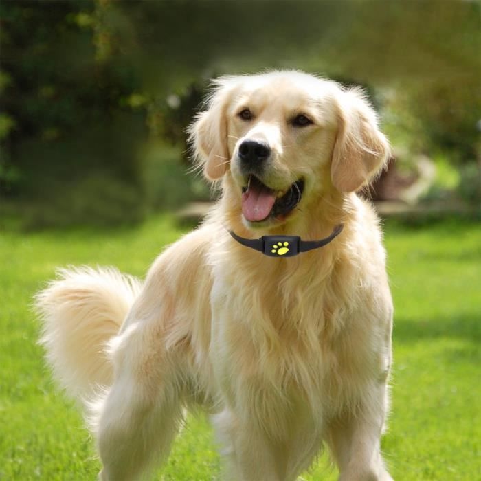 Traceur GPS pour chiens et chats - traceur animaux étanche pour collier