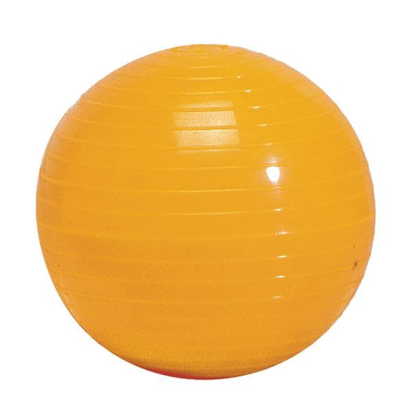 Balle lestée 500 gr