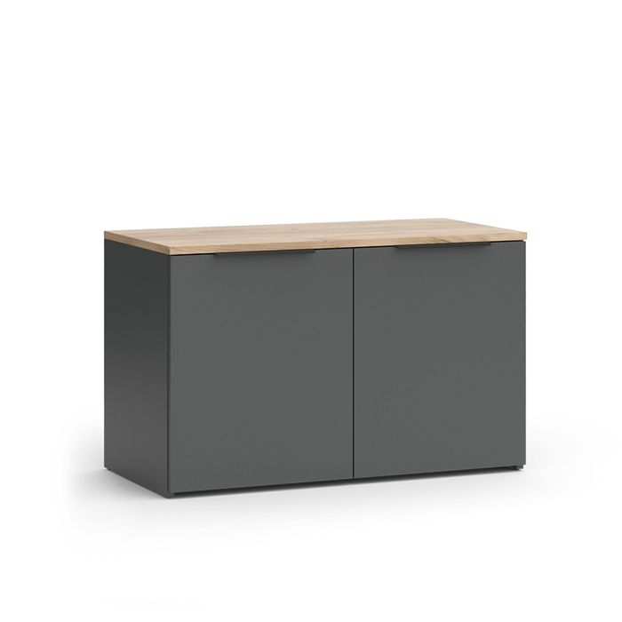 Sideboard Wido 80x50cm avec 2 portes Anthracite Vicco 47671