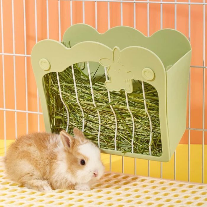 Mangeoire Lapin Râtelier à Foin Suspendu pour Petits Animaux Lapins Lapins Nains Cochons dInde (Vert)