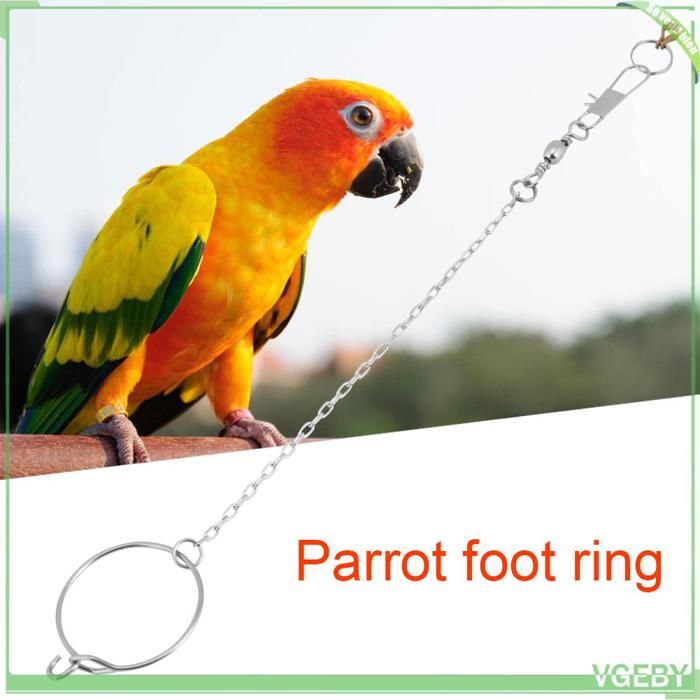 VGEBY jouet de pied de perroquet VGEBY Jouet de perroquet 3.5/4.5/5.5mm en acier inoxydable pour animaux de 4 5 mm / 0 2 pouces