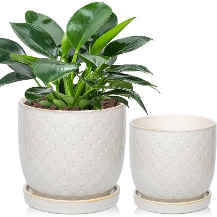 Pot En Ceramique Interieur