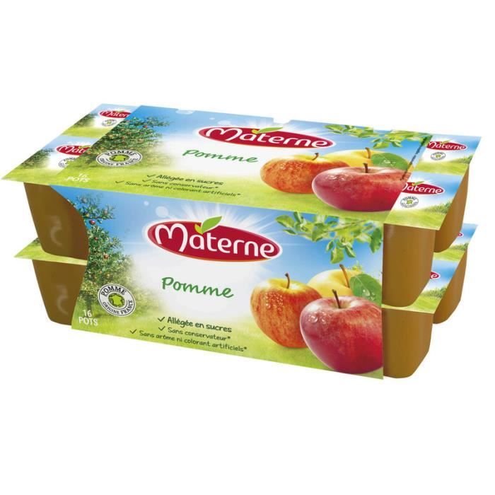 MATERNE Lot de 10 Compotes de Pomme Nature 100G Cdiscount Au quotidien
