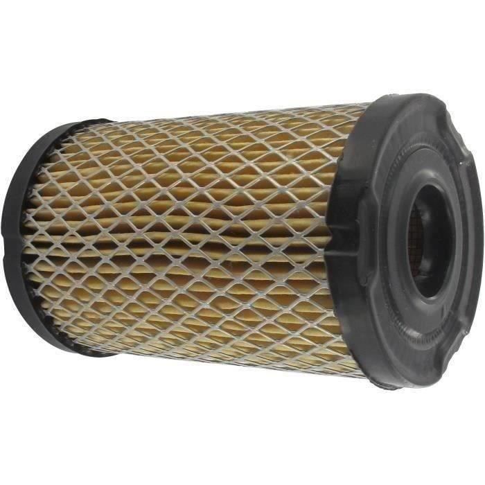 Filtre à air TECUMSEH 34700b