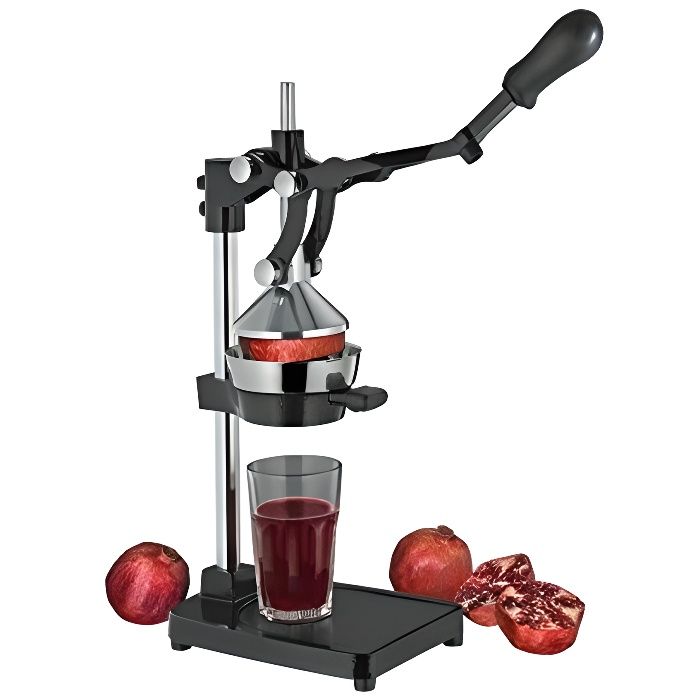 Ilsa Presse Agrumes Presse Grenades A Levier Pour Banc Professionnel 79 Cm Achat Vente Presse Agrume Cdiscount