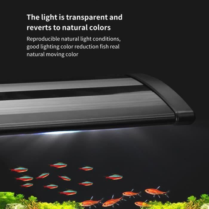 CD28837-Lampe étanche de la lumière d'Aquarium extensible avec support