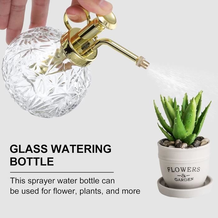 Arrosoir en verre vaporisateur pour plante en pot d'intérieur