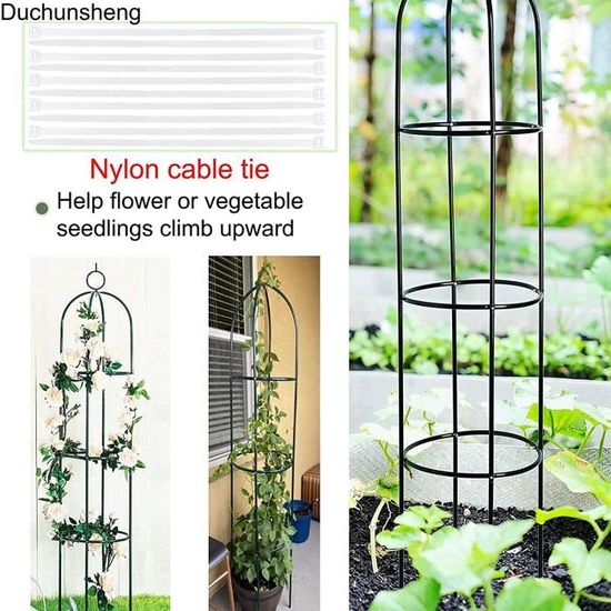 Obelisque de jardin - Support pour plantes grimpantes - Support pour  plantes grimpantes[259] - Cdiscount Jardin