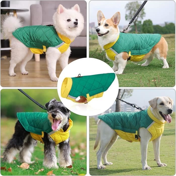 Manteaux pour chien de petite taille top