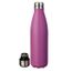 500ml Fruit Dextérieur En Aluminium Vélo Portable En