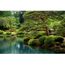 Télécharger gratuitement Images Papier Peint Photo Intisse 22457 Jardin Japonais 500x280 Cm 10 le plus cool salutations