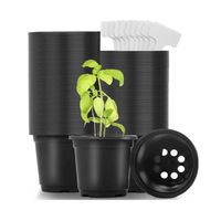 100 Pieces Plantes en Plastique Pot de Semis 10 cm Pots de Pépinière Repiquage Plantes Pot de Fleurs pour Jardin Plateau de