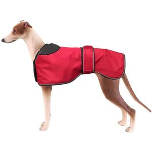 Manteau whippet occasion clearance