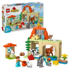 La maison en pain d'épices du Père Noël - LEGO® DUPLO® Ma ville - 10976